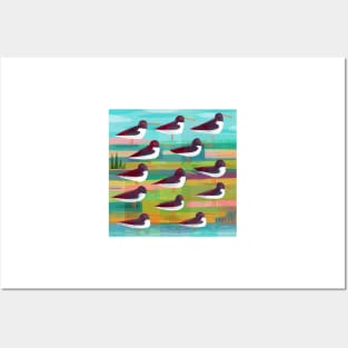 Oystercatchers Posters and Art